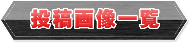 投稿画像一覧
