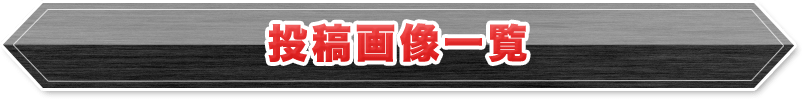投稿画像一覧