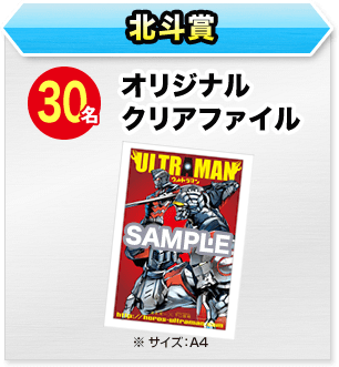 30名 オリジナルクリアファイル