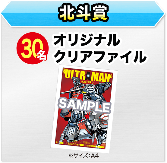 30名 オリジナルクリアファイル