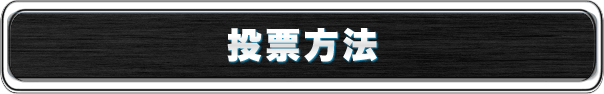 投票方法