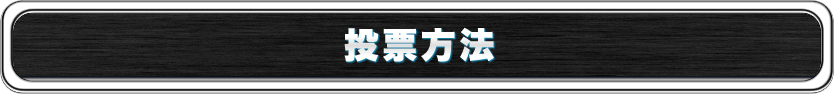 投票方法